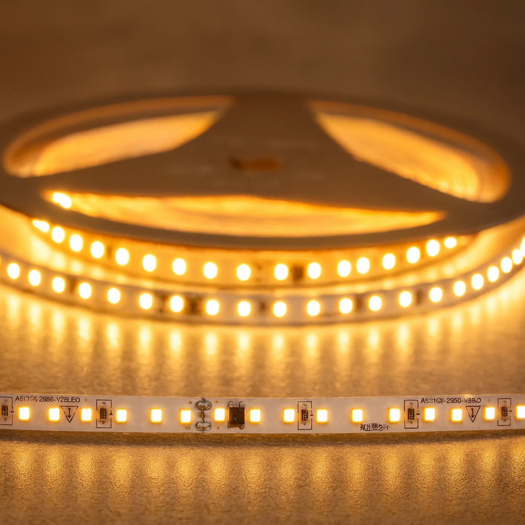 Cinta LED para recorridos largos de luz uniforme 110V Serie Wezen (8W, 120 chips, 550 lúmenes) X10M PREMIUM ASOMBRA
