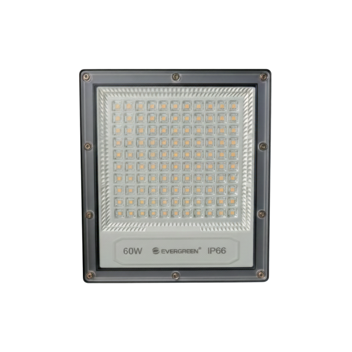 Reflector solar LED 60W