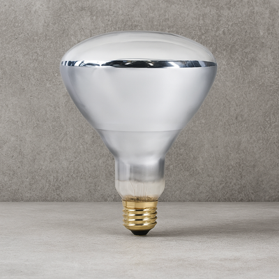 Reflector Infrarrojo 250w Temperatura galpones y cerdos