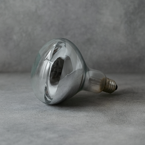 Reflector Infrarrojo 250w Temperatura galpones y cerdos