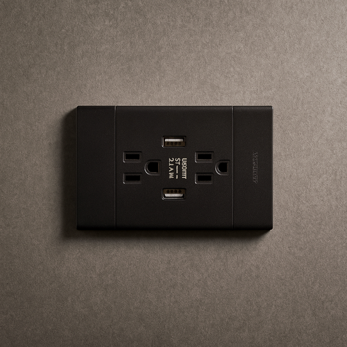 Toma corriente + USB doble Carpinter