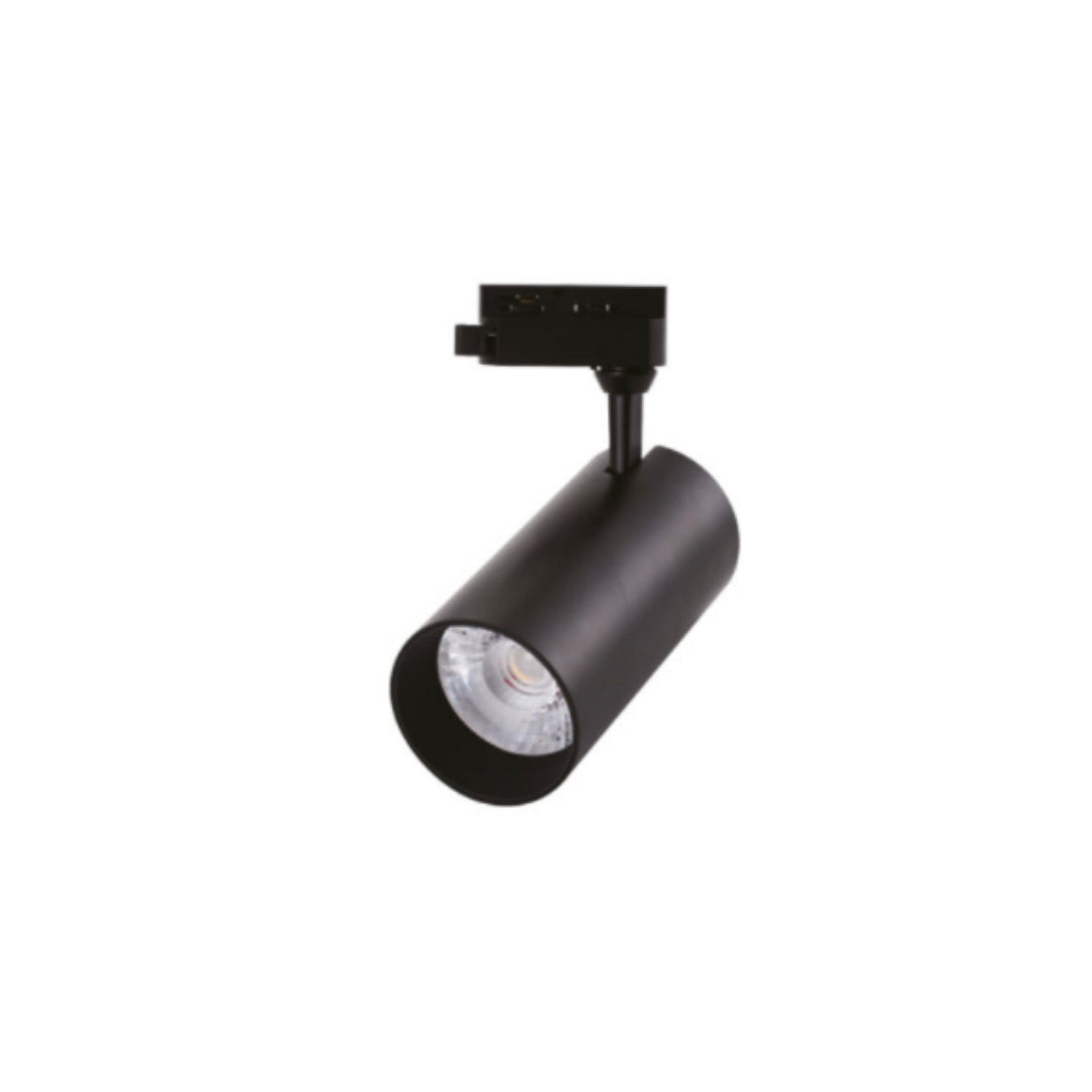 Spot led Para Riel 10W